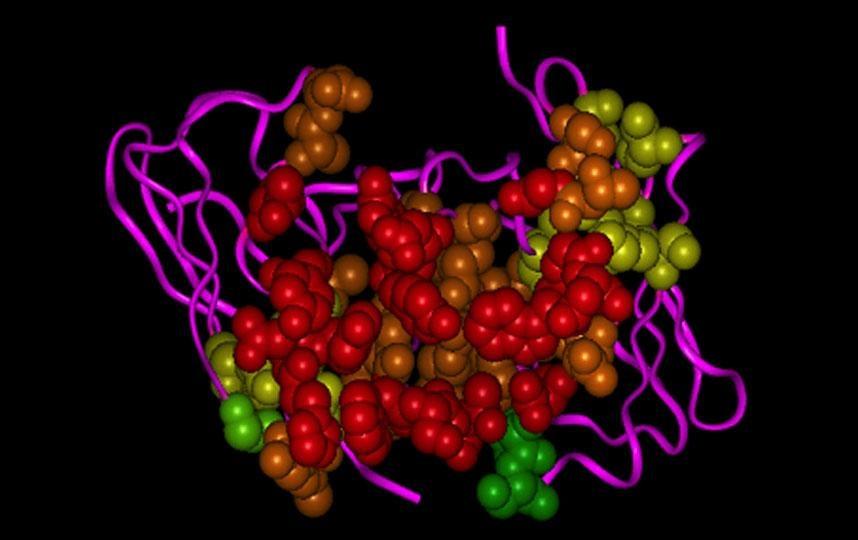 Biofarmaci e vaccini di nuova generazione prodotti in pianta per terapie di malattie di grande impatto sociale e tecniche di biologia molecolare avanzate